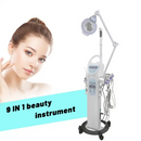 10 in 1 Multifunction Salt Facial Steamer Salon Use Multifunctional Facial Professional Beauty Machine