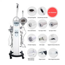 10 in 1 Multifunction Salt Facial Steamer Salon Use Multifunctional Facial Professional Beauty Machine
