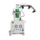 KMSLASER 10D Maxlipo Master Laser And EMS Cryo Plate Weight Loss Machine