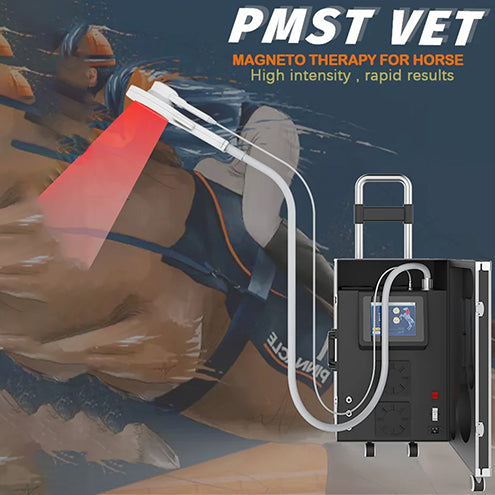 How does the shockwave therapy machine do treatment on horses?