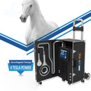 New Animal Equipment Magnetic Field Gout Pain Relief Treatment Magnetic Therapy Magnetic Therapy Equipment