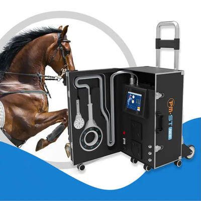 PMST VET equine magnetotherapy machine with horse – portable flight case system for PMST magnetic therapy | KMSLASER