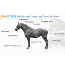 New Animal Equipment Magnetic Field Gout Pain Relief Treatment Magnetic Therapy Magnetic Therapy Equipment