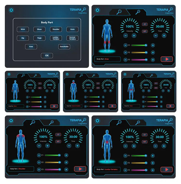 Emtt Machine Pulsed Electromagnetic Field Therapy Machine