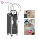 FZ-85 FreezeWave Black System with Accessories – Microwave & Red Laser Body Sculpting Machine