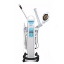 10 in 1 Multifunction Salt Facial Steamer Salon Use Multifunctional Facial Professional Beauty Machine