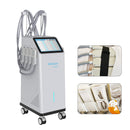 Cryo EMS Cryoskin Coolsculpt Pads Cryotherapy Beauty Machine Cool Cold T Body Slimming Shock