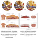 Hot Product HI Lose Weight 4 Handles Tesla Ems Emt RF Electrical Muscle Stimulation Body Sculpting Emslim Machine Neo With RF